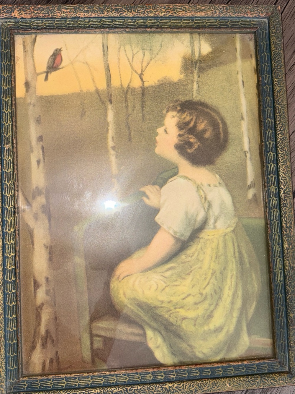 Spring song bird framed vintage 14” x 18”
